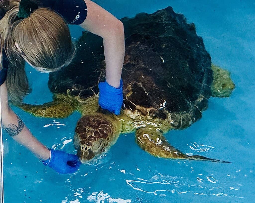 Behind-the-Scenes Tour