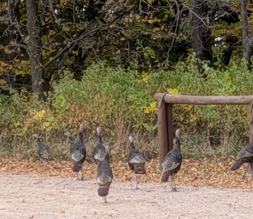 Hiking and Biking Trails
