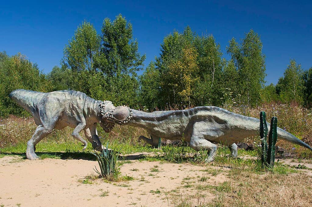 Children's Playground