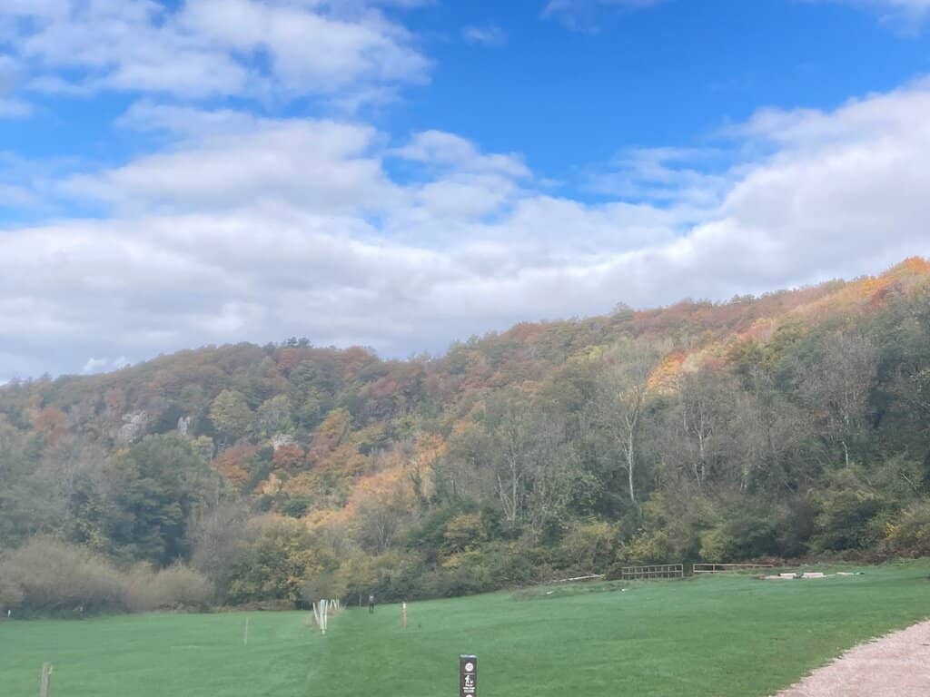 Prehistoric Discoveries