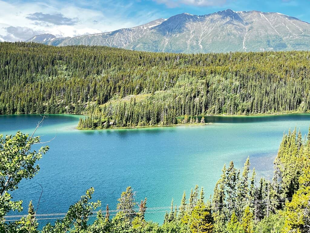 Gateway to Carcross Desert