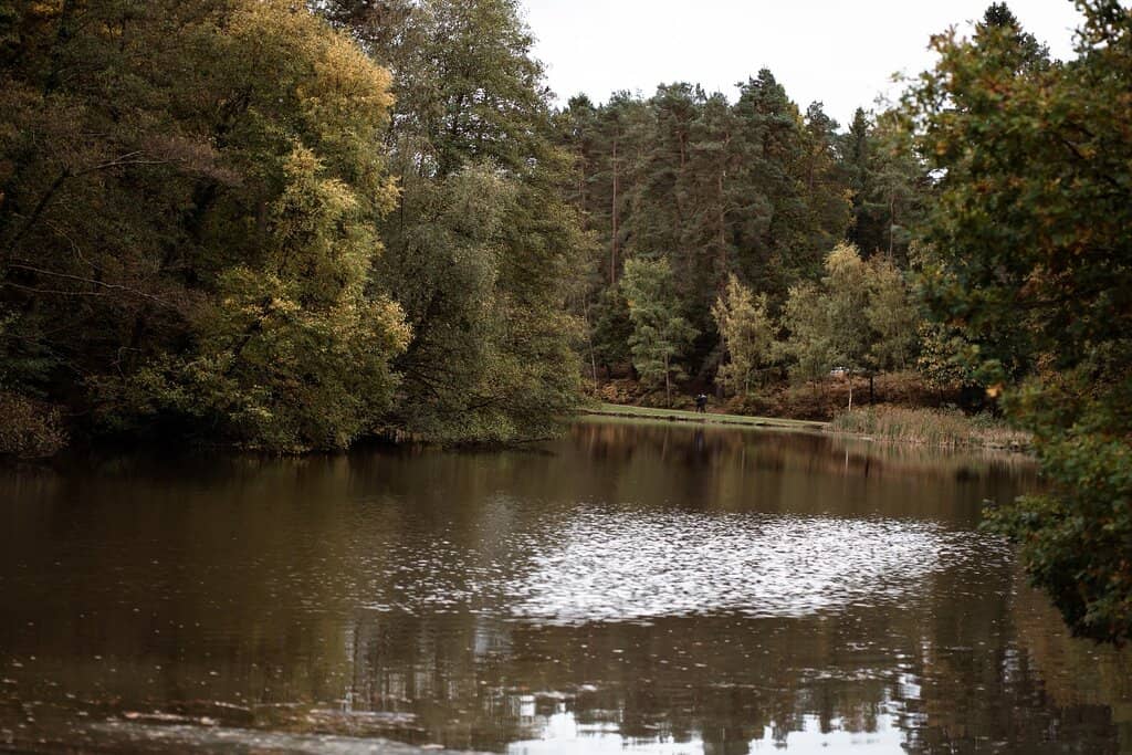 Forest of Dean Trails