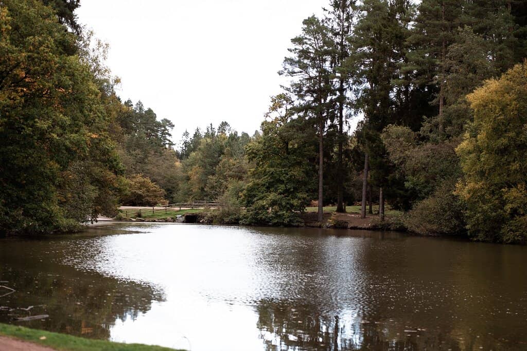 Dog-Friendly Amenities