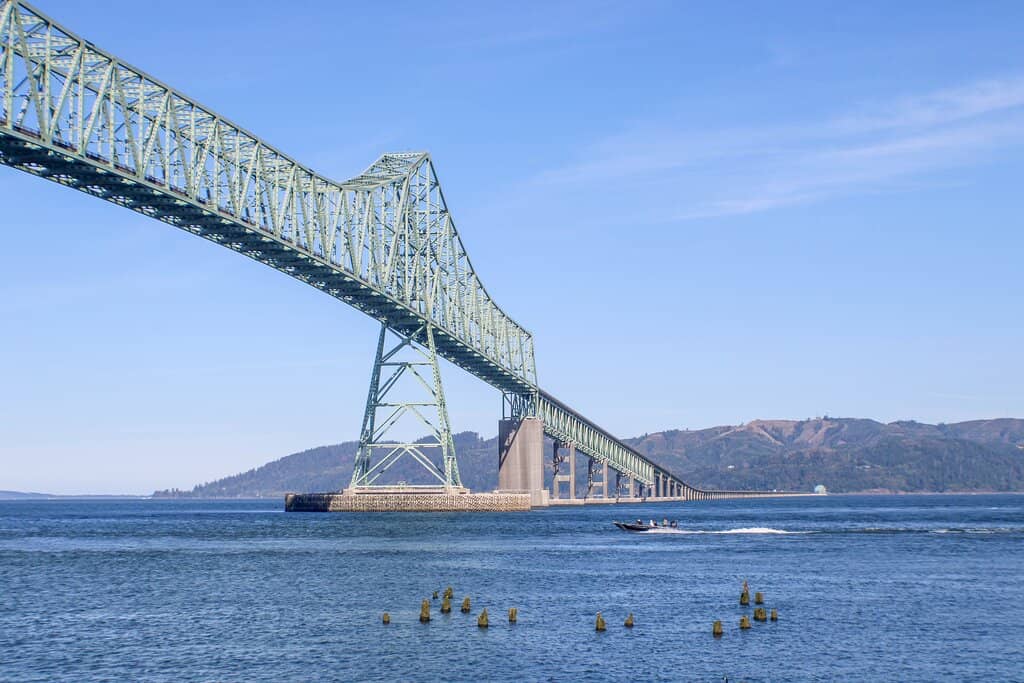 Sea Lion Viewing