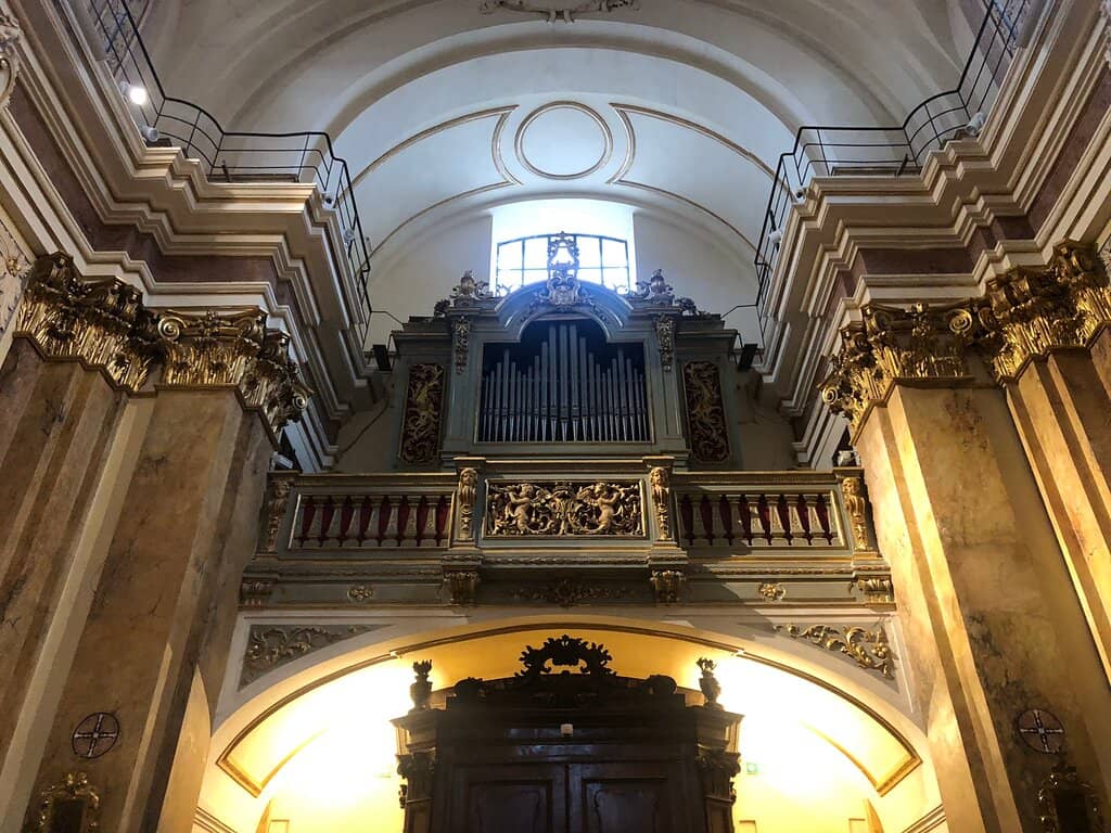 Vertical photo
