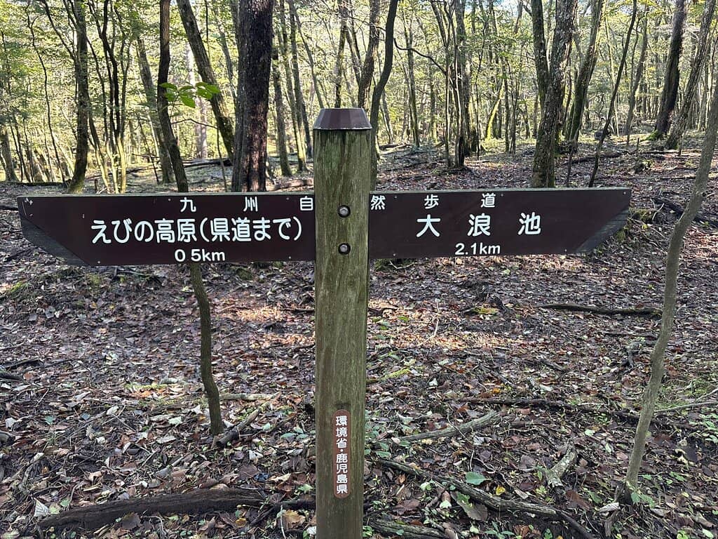 Rocky Summit Trail