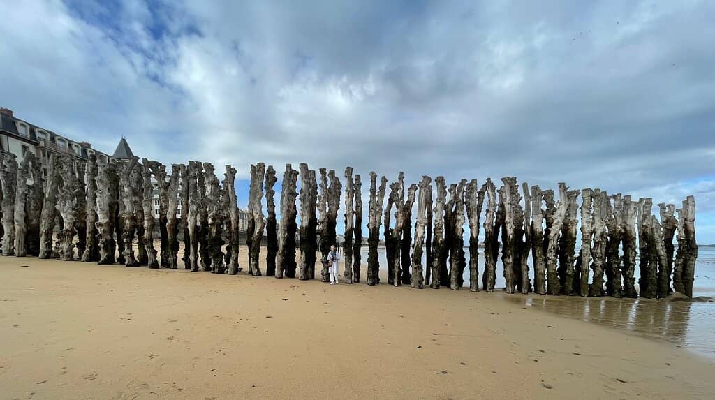 Vertical photo