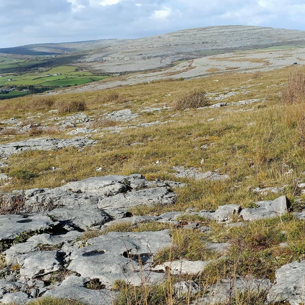 Biodiversity Hotspot