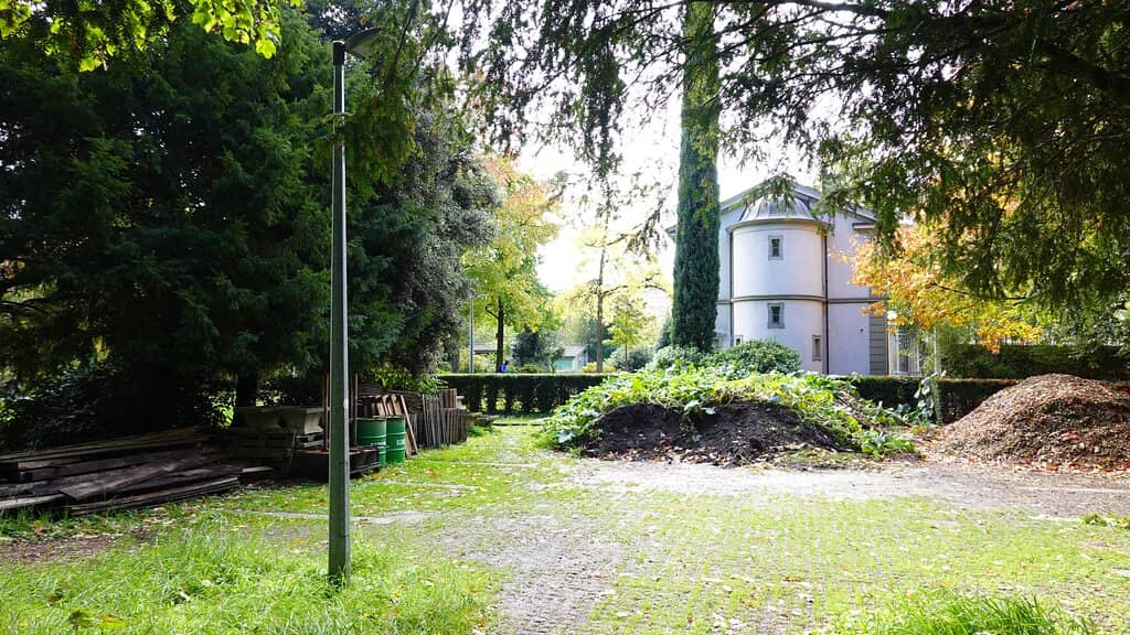 Spring Tulip Displays