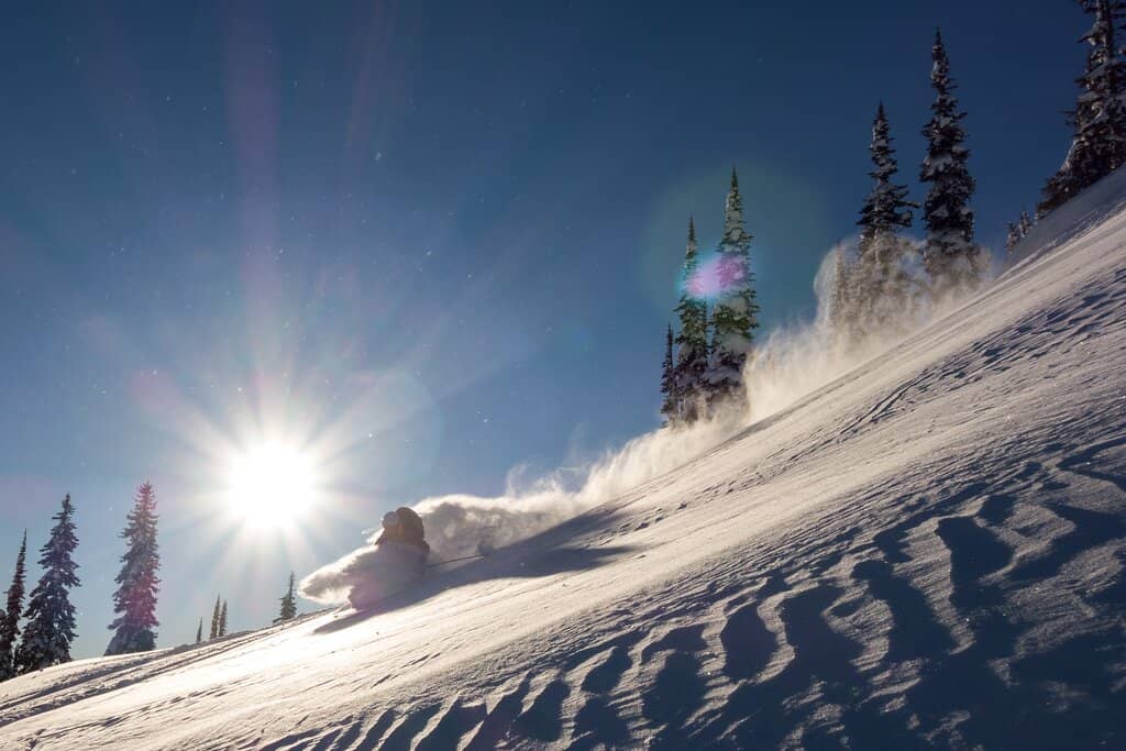 Playground & Trails