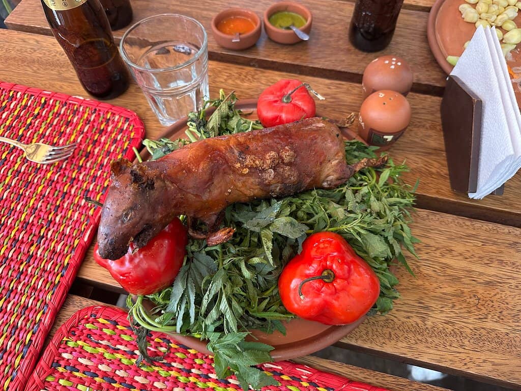 Cozy Andean Ambiance