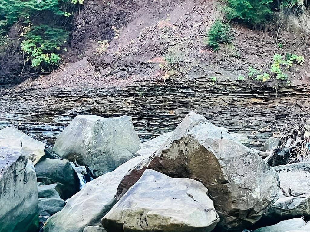Vertical photo