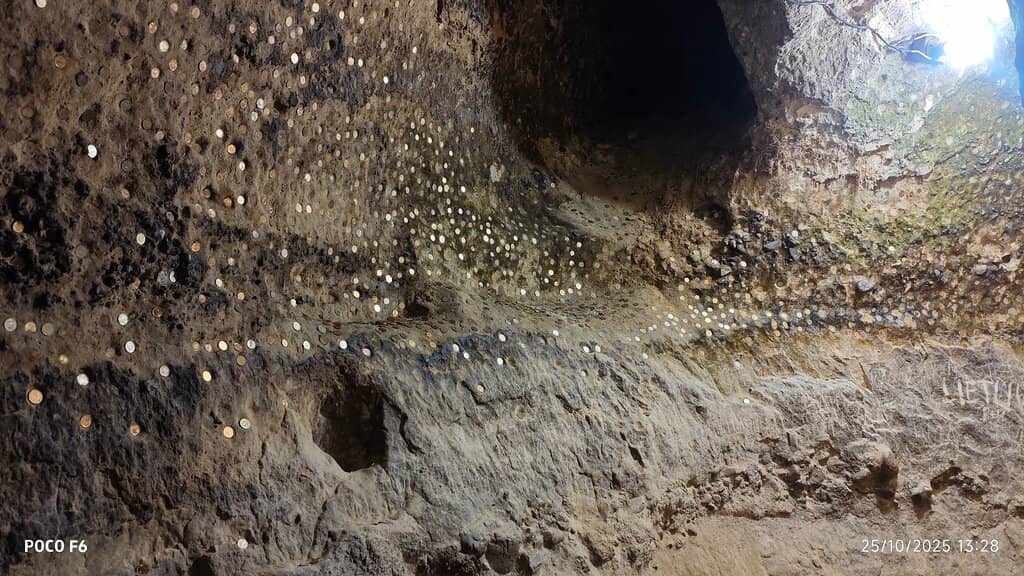 Regional Wine Tasting