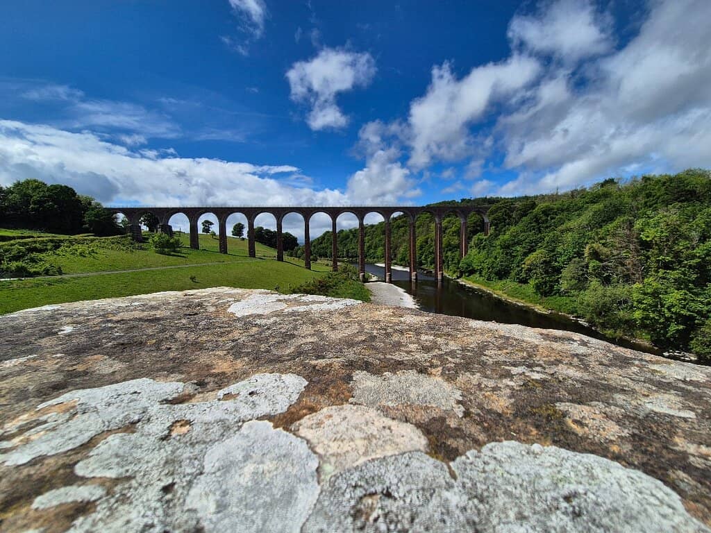 River Tweed Views