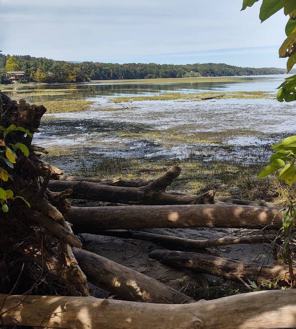 Scenic Boardwalk Trail