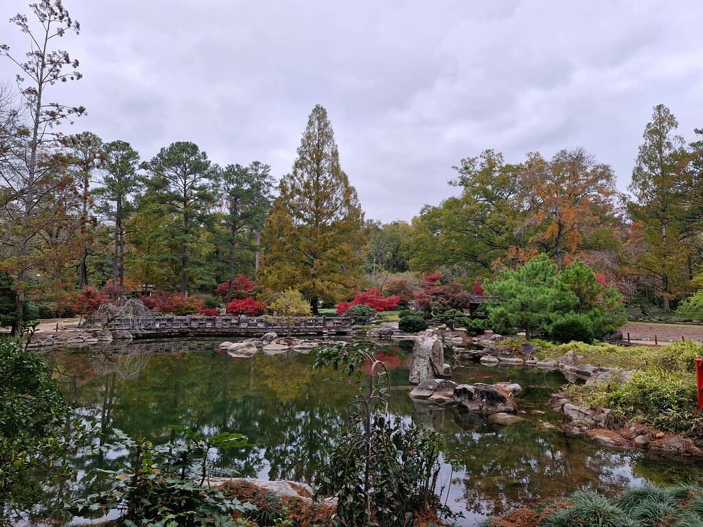 Conservatory/Greenhouse