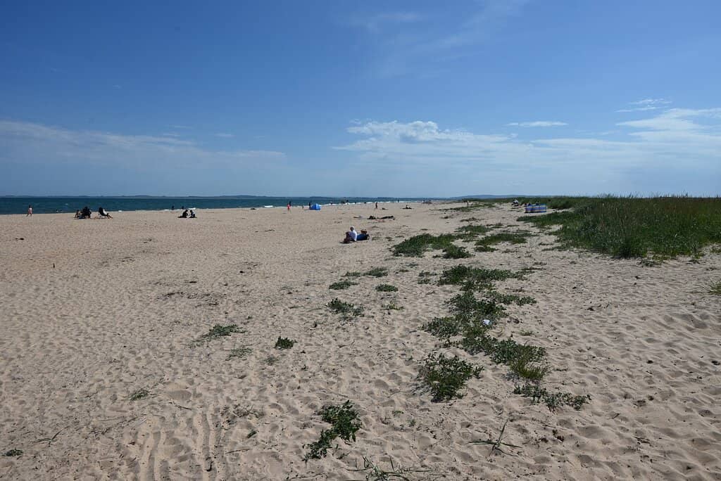 Dune Exploration