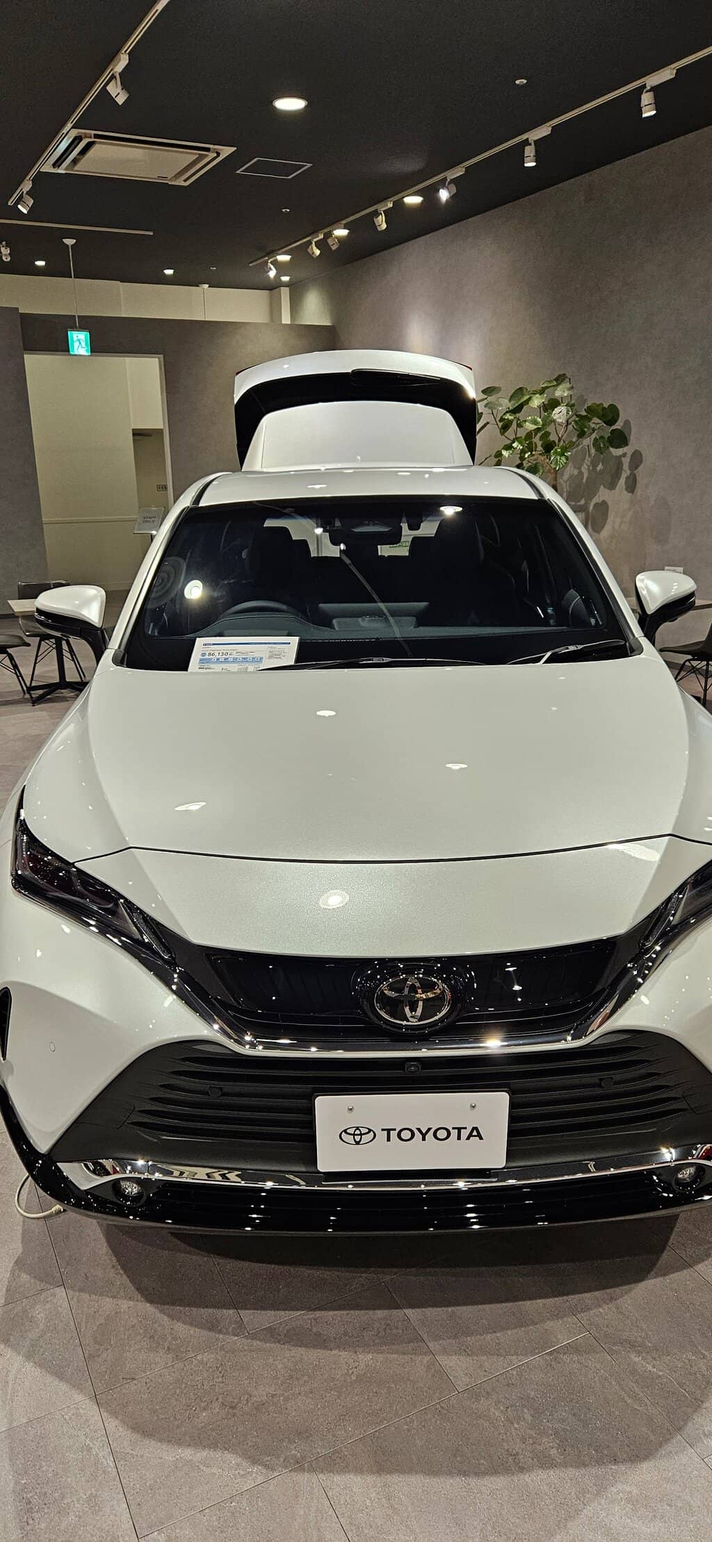 Gundam Store & Themed Dining