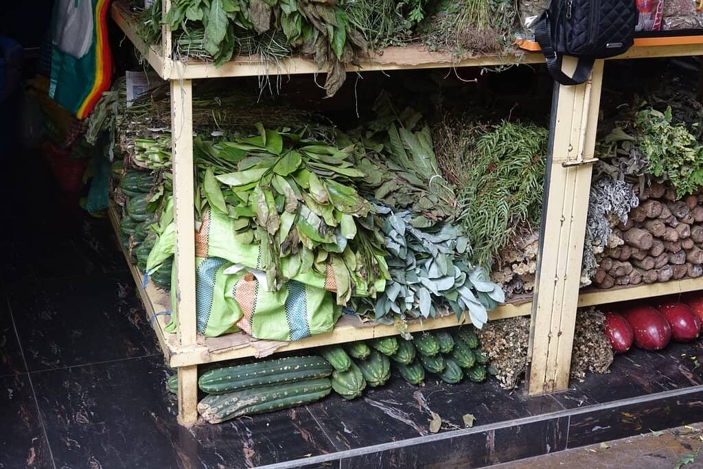Handicraft Hunting
