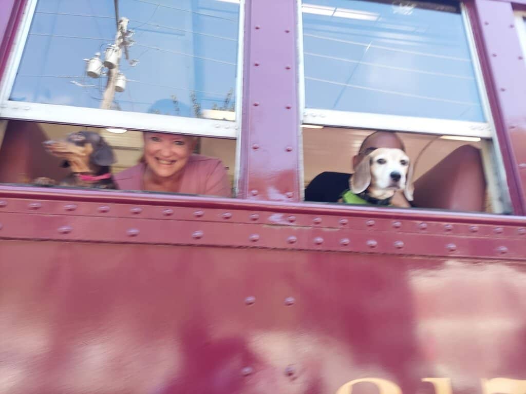 Dog-Friendly Rides