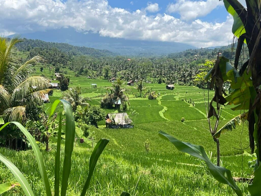 Sidemen Rice Terraces