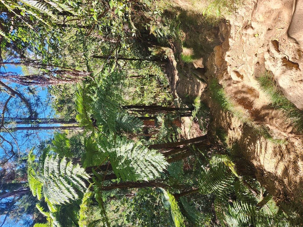 Vertical photo