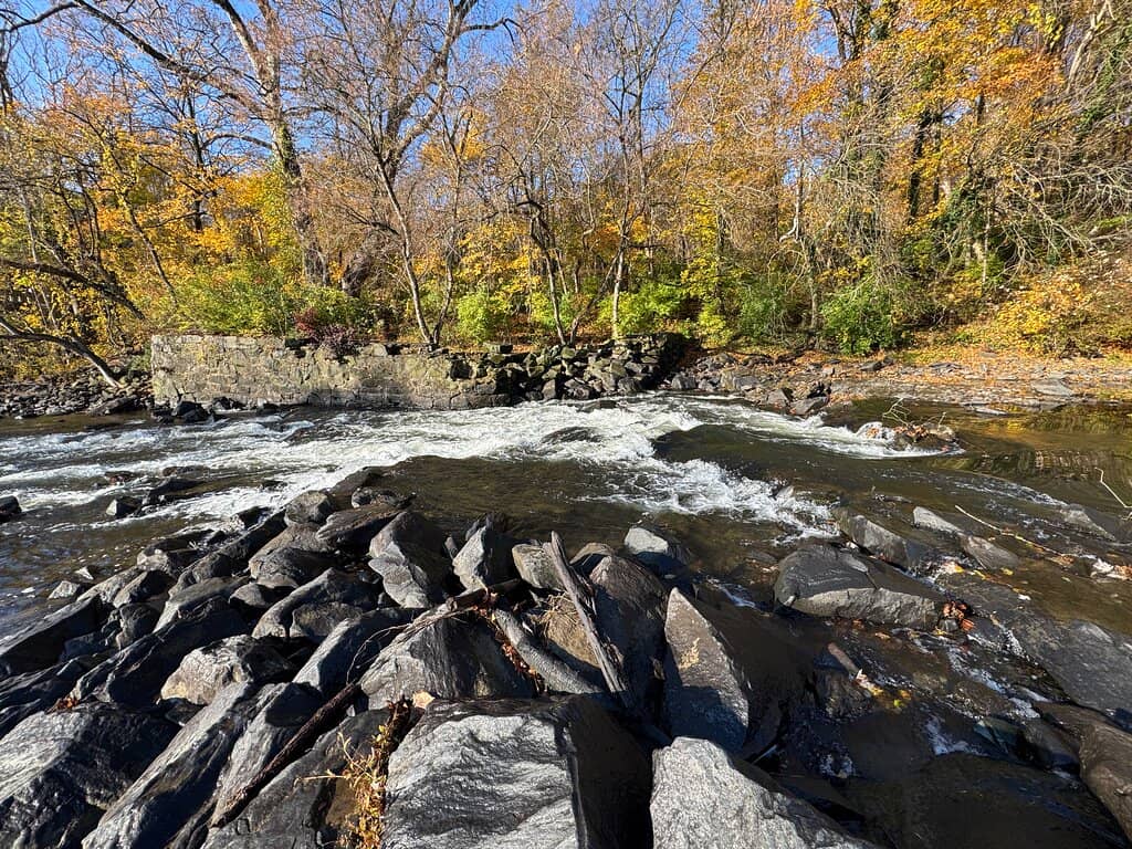 Creek Trail