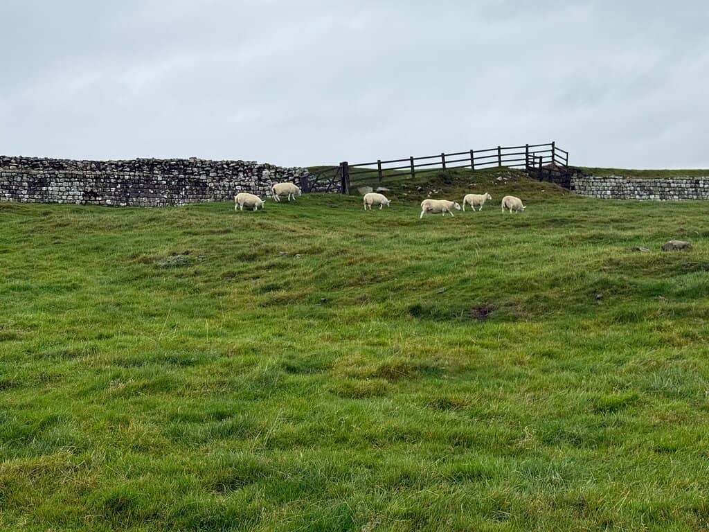 Visitor Centre and Museum