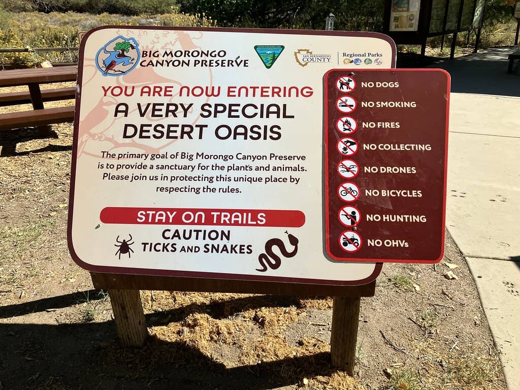 Birdwatcher's Paradise