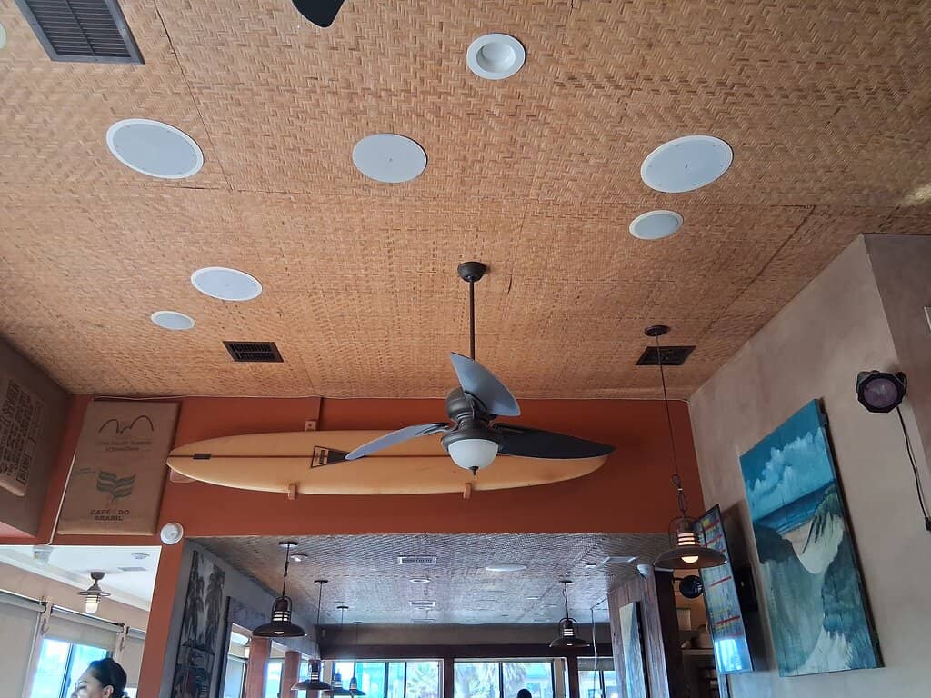 Birdwatching Paradise