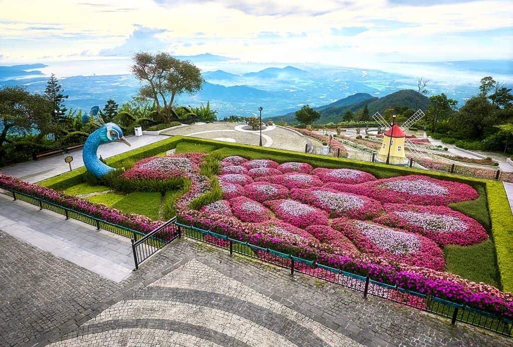 Alpine Coaster