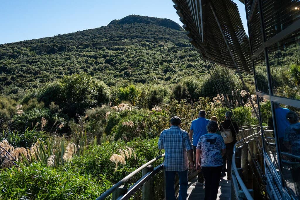 Native Birdsong and Sightings