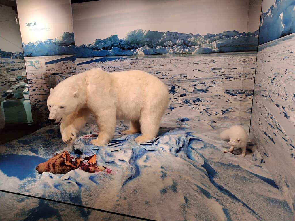 RCMP Special Constable Exhibit