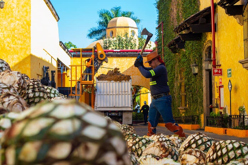 The First Tequila Distillery