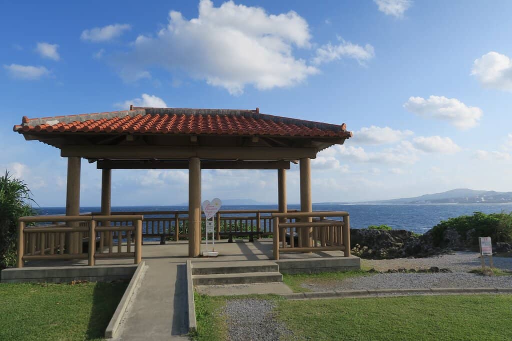 Vibrant Underwater World