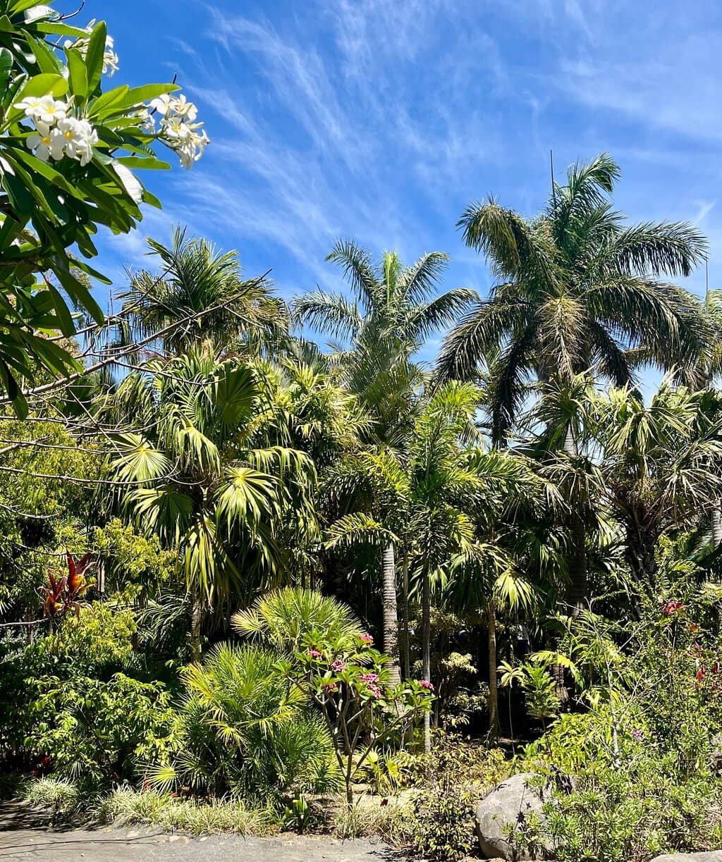 Bourbon Coffee Tasting