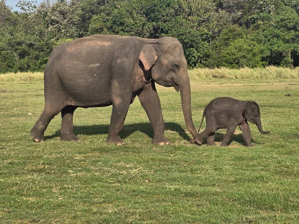 Serene Reservoir Views