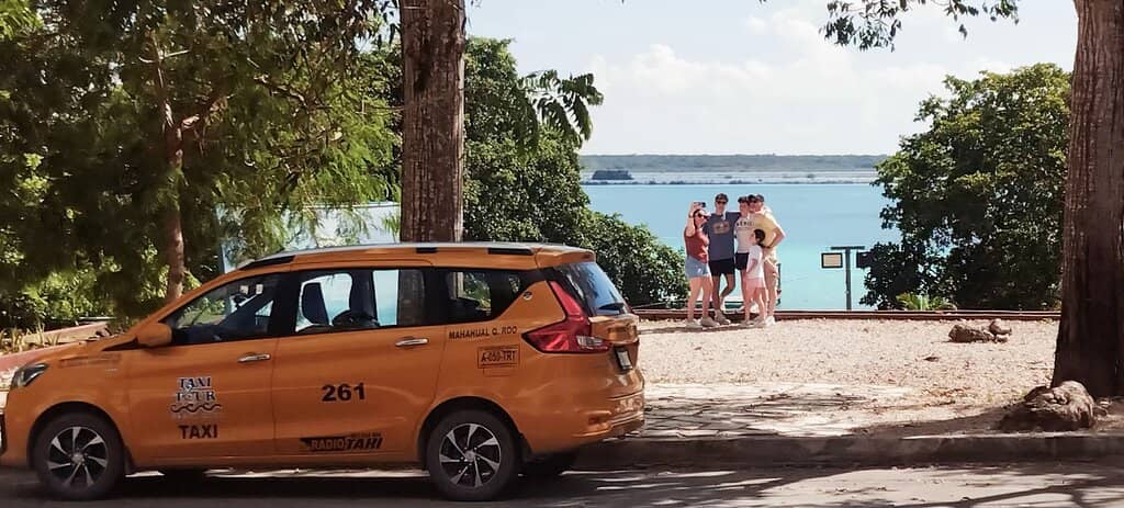 Lush Jungle Surroundings