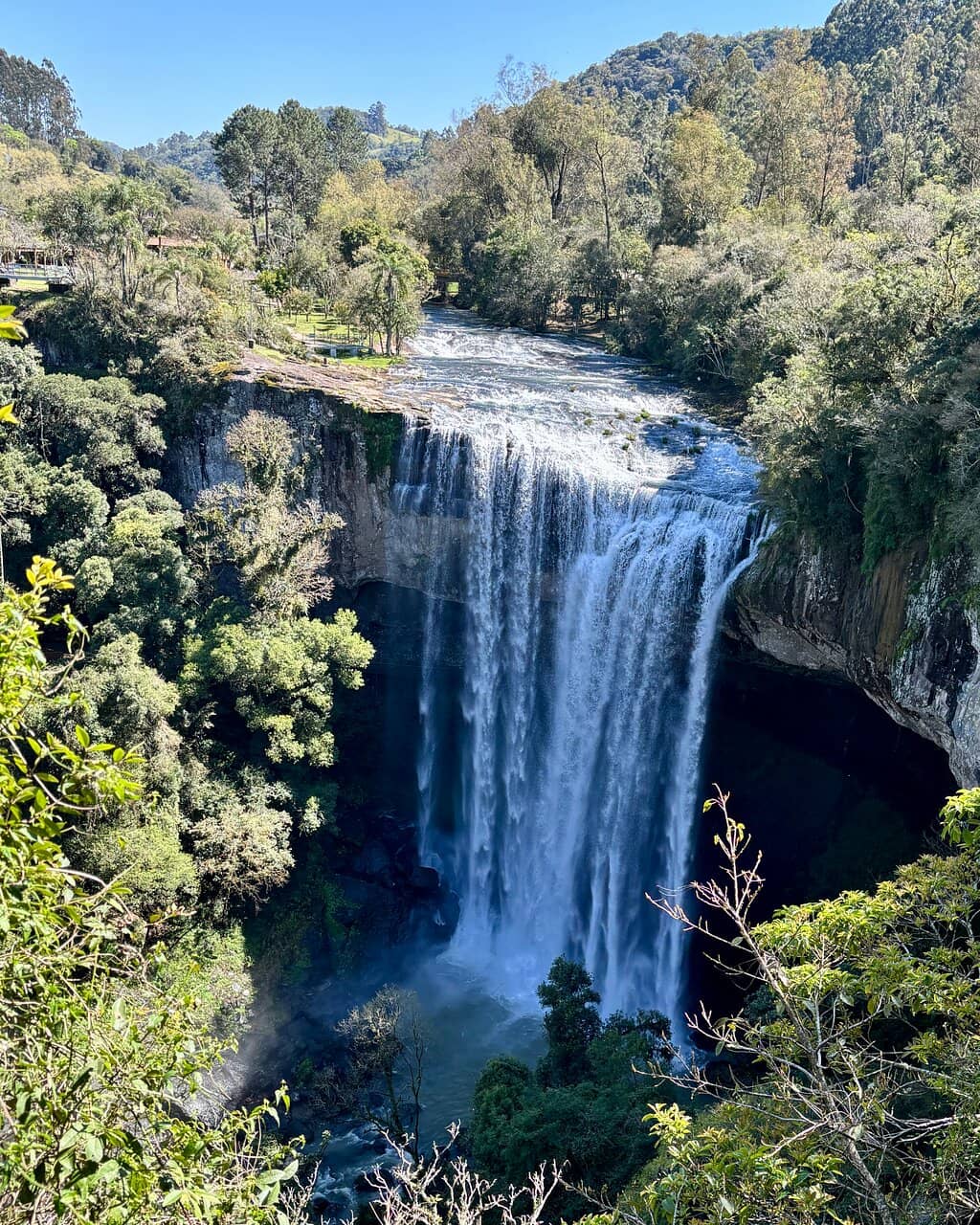 Vertical photo