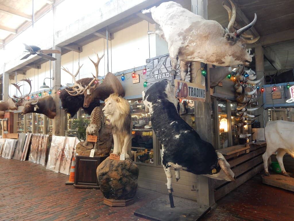 Cowboy Boot Margarita