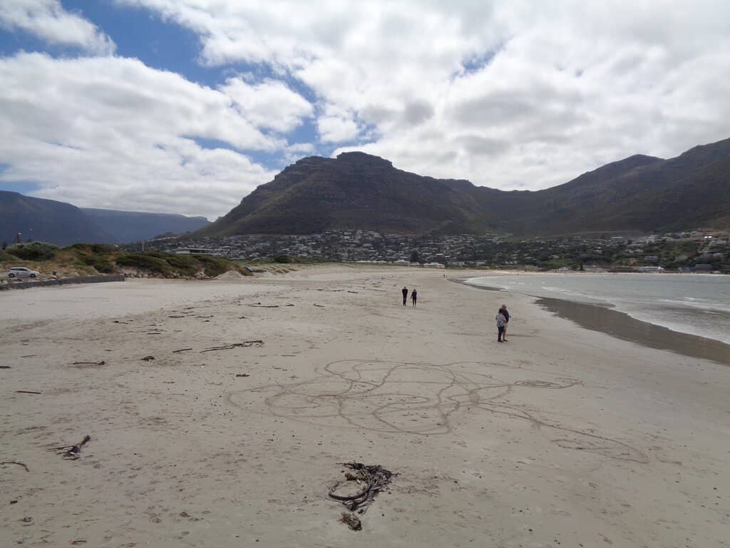 Chapman's Peak Drive Views
