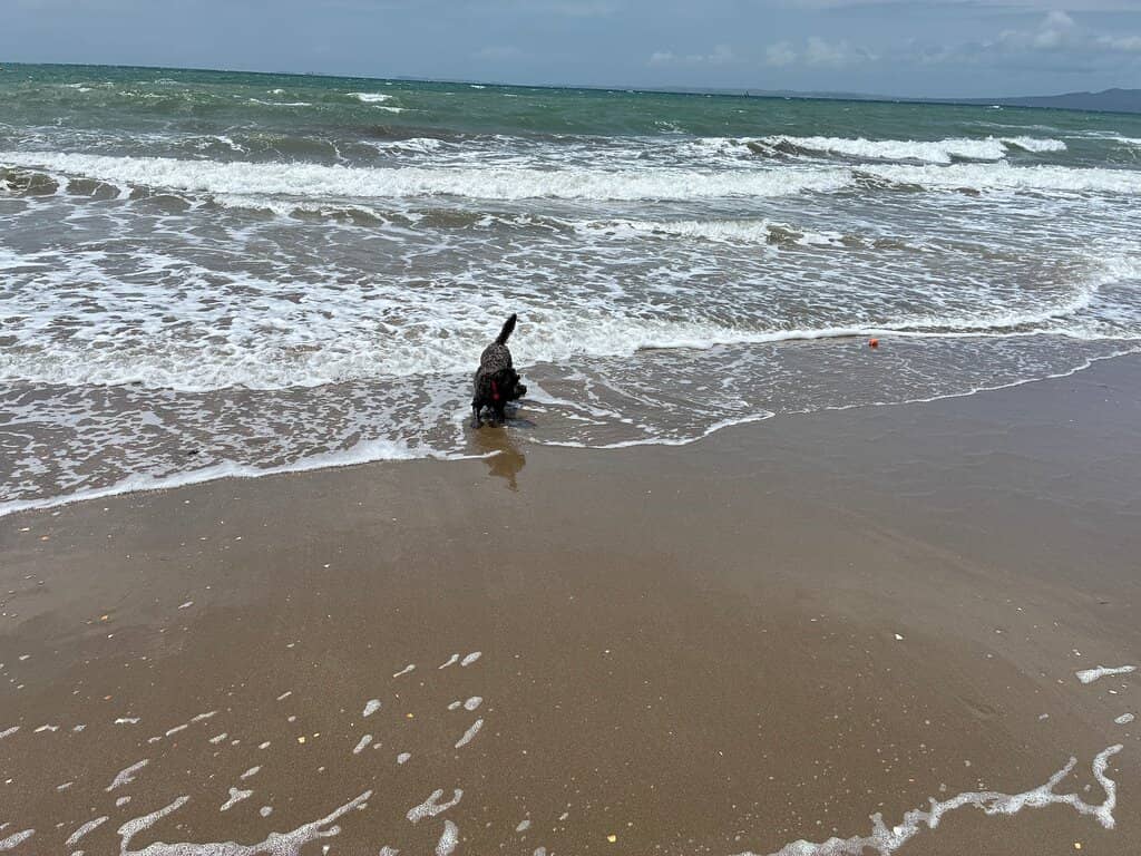 Zero Japanese Ramen Sake Bar