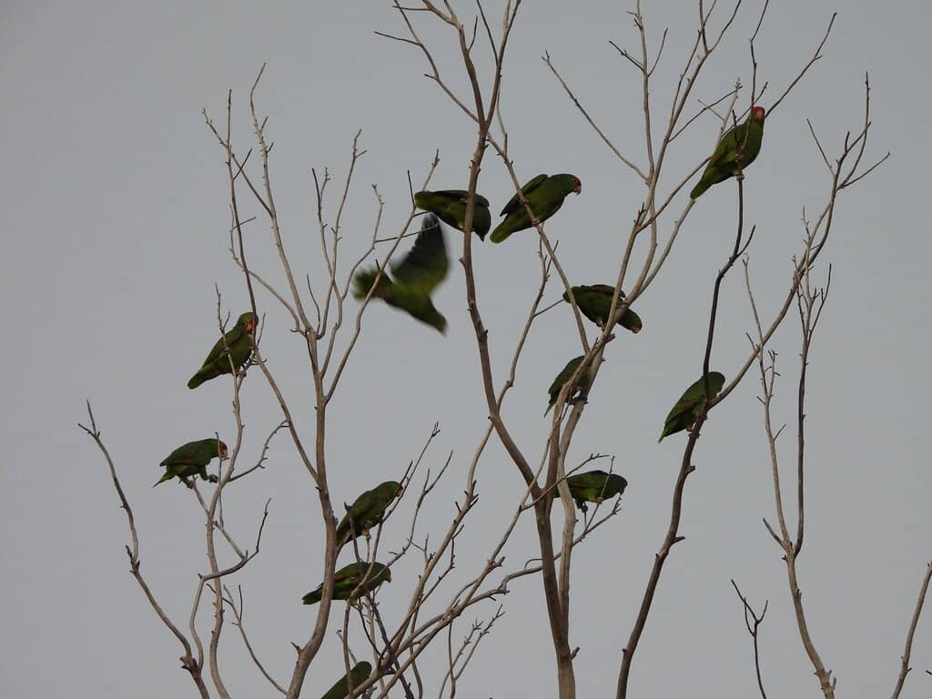 Vertical photo