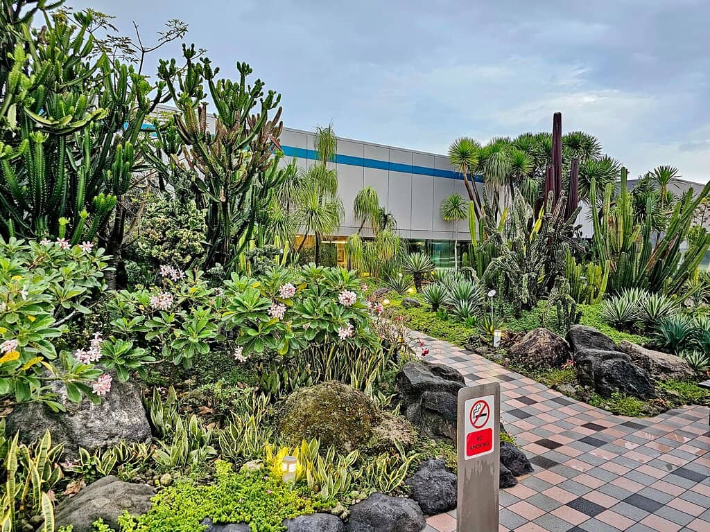 Peaceful Escape