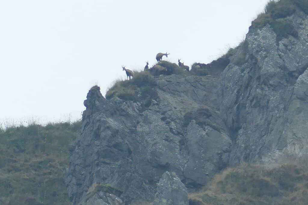 Puy de Sancy Summit