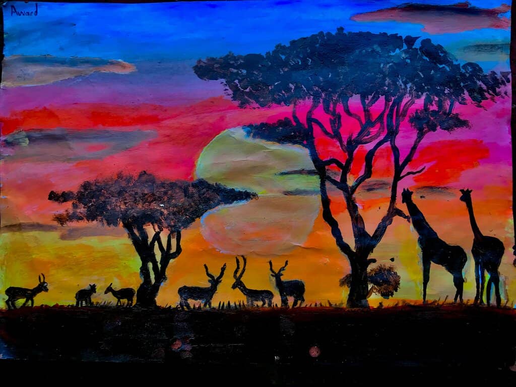 Artist Exhibitions