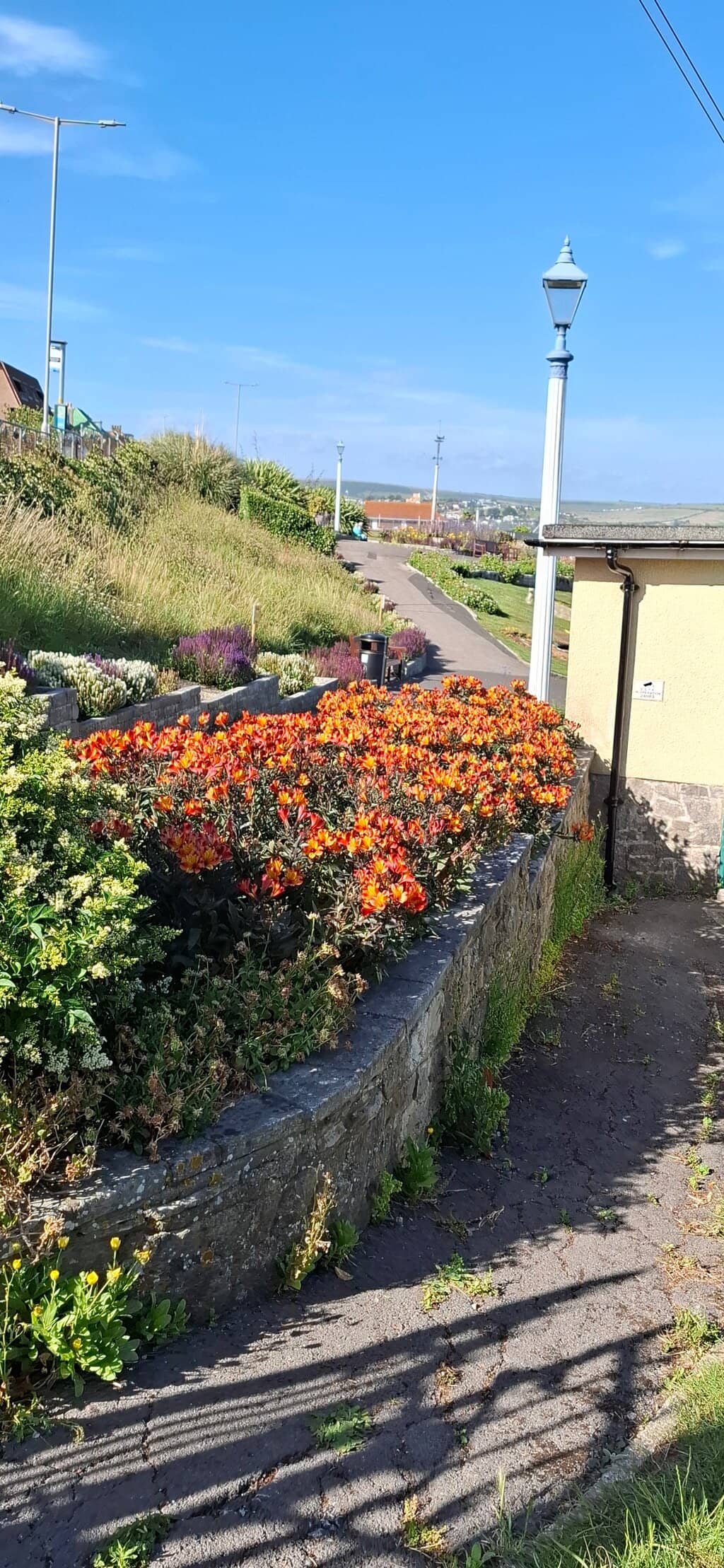 Seafront Views