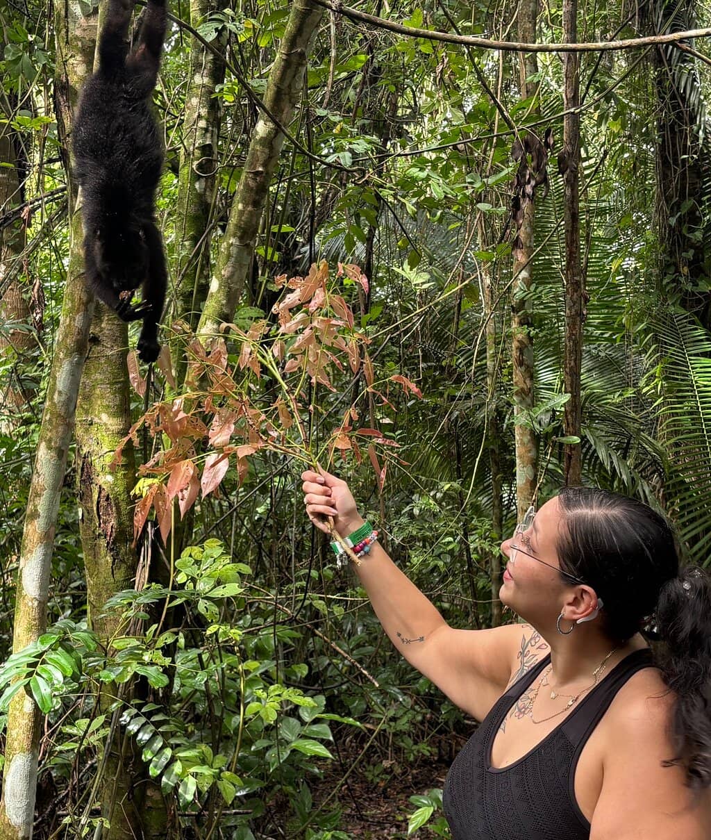 Immersive Jungle Walk