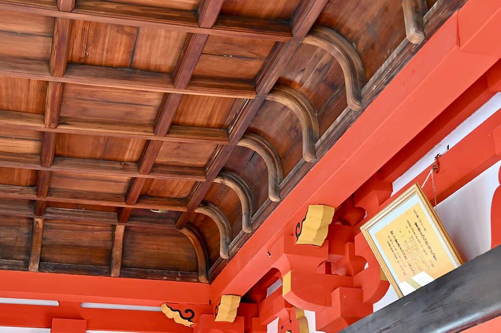 Vertical photo