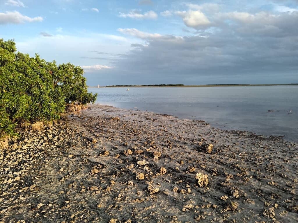 Flamingo Marina